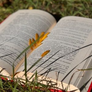 Book 3